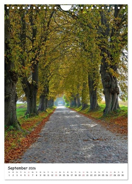 Produktbild: R&uuml;gen-Idyllische Momente (Wandkalender 2026 DIN A4 hoch), CALVENDO Monatskalender