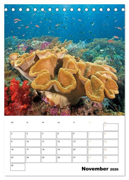 Produktbild: Farbrausch unter Wasser: Fische am Riff (Tischkalender 2026 DIN A5 hoch), CALVENDO Monatskalender