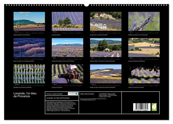 Produktbild: Lavande, l'or bleu de Provence (Calendrier mural 2026 DIN A2 vertical) calendrier de bureau
