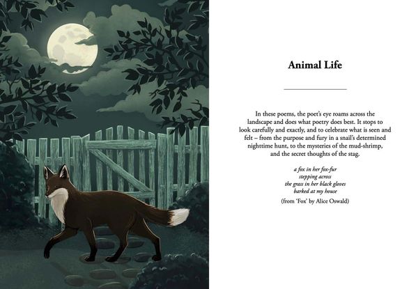 Produktbild: Nature Poems_national Trust Pb