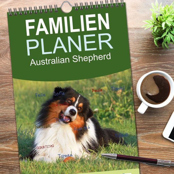 Produktbild: Familienplaner 2026 - Australian Shepherd - H&uuml;tehunde mit Familienanschluss mit 5 Spalten (Wandkalender, 21 x 45 cm) CALVENDO