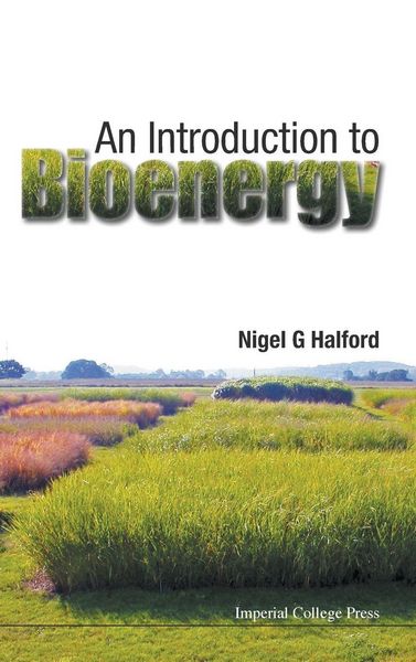 Produktbild: Introduction To Bioenergy, An
