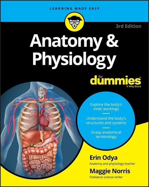 Produktbild: Anatomy & Physiology For Dummies