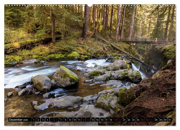Produktbild: Waldwasser (hochwertiger Premium Wandkalender 2026 DIN A2 quer), Kunstdruck in Hochglanz