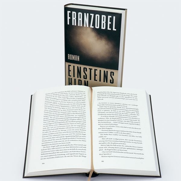 Produktbild: Einsteins Hirn