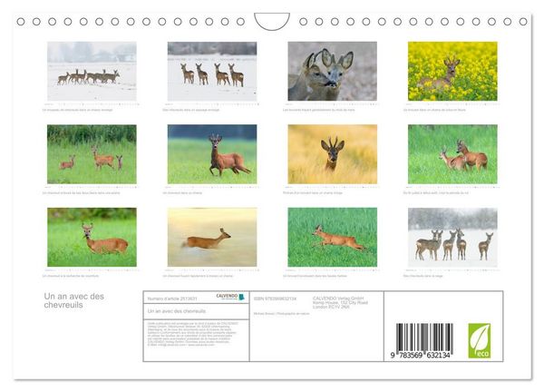 Produktbild: Un an avec des chevreuils (Calendrier mural 2027 DIN A4 vertical), CALVENDO calendrier mensuel
