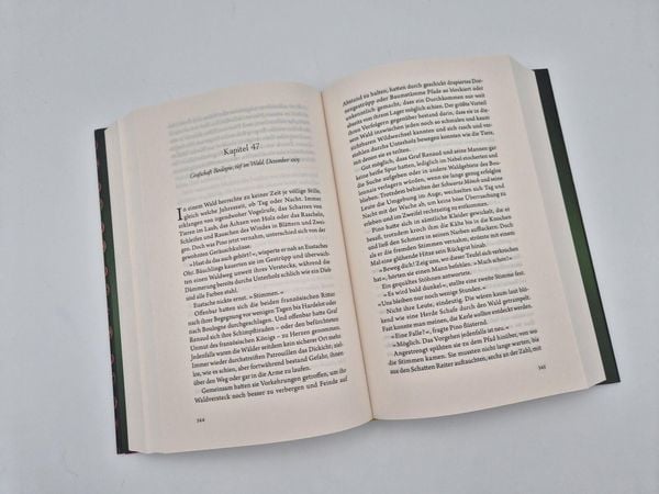Produktbild: Thron der Diebe