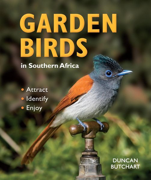 Produktbild: Garden Birds in Southern Africa