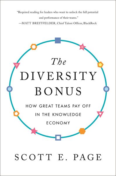 Produktbild: The Diversity Bonus