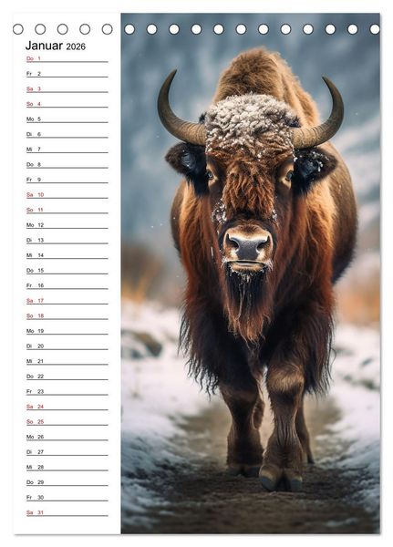 Produktbild: Ganz von vorn (Tischkalender 2026 DIN A5 hoch), CALVENDO Monatskalender