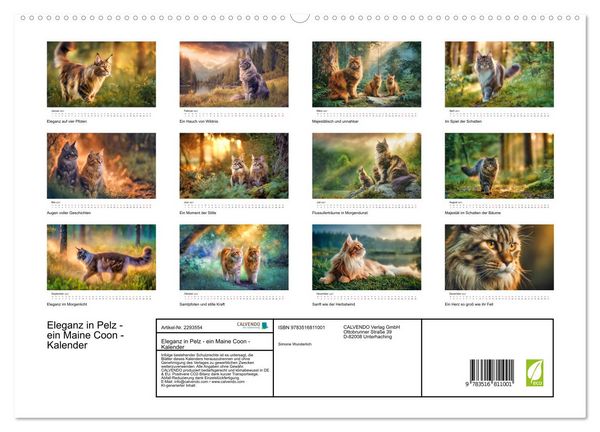 Produktbild: Eleganz in Pelz - ein Maine Coon - Kalender (hochwertiger Premium Wandkalender 2027 DIN A2 quer), Kunstdruck in Hochglanz