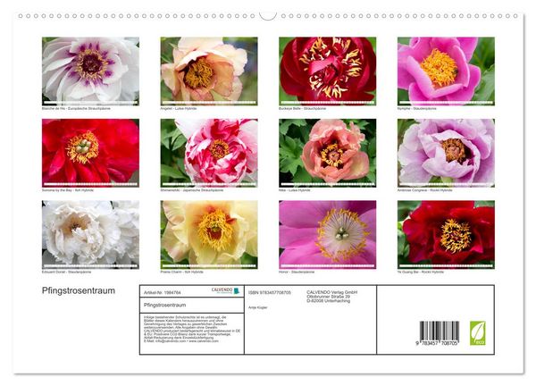 Produktbild: Pfingstrosentraum (hochwertiger Premium Wandkalender 2026 DIN A2 quer), Kunstdruck in Hochglanz