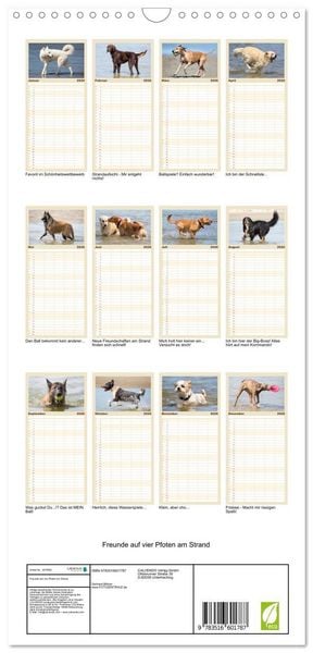 Produktbild: Familienplaner 2026 - Freunde auf vier Pfoten am Strand mit 5 Spalten (Wandkalender, 21 x 45 cm) CALVENDO