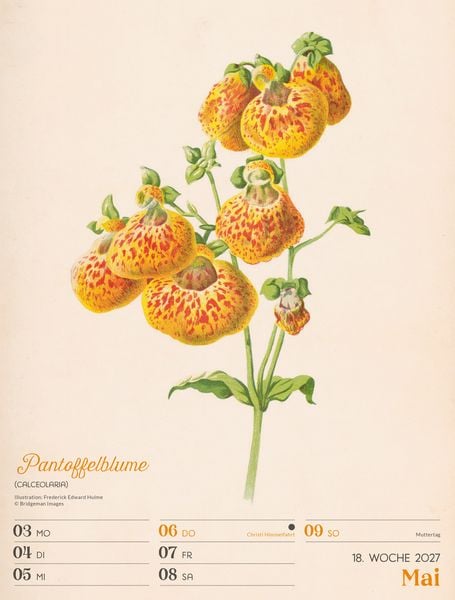 Produktbild: Ars Floralis Wochenplaner Kalender 2027