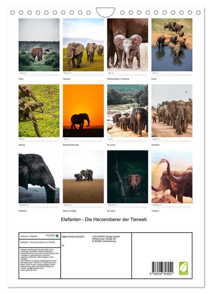 Produktbild: Elefanten - Die Herzeroberer der Tierwelt. (Wandkalender 2026 DIN A4 hoch), CALVENDO Monatskalender