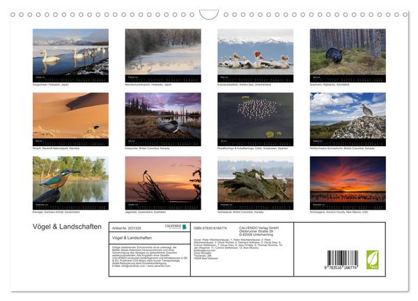 Produktbild: V&ouml;gel & Landschaften (Wandkalender 2026 DIN A3 quer), CALVENDO Monatskalender