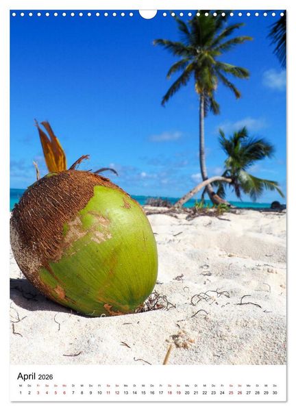 Produktbild: Karibischer Flair (Wandkalender 2026 DIN A3 hoch), CALVENDO Monatskalender