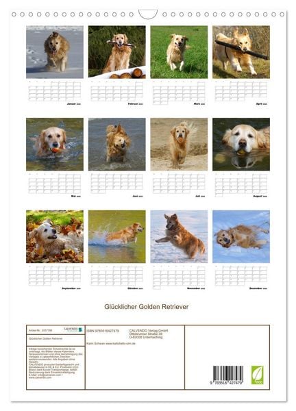 Produktbild: Gl&uuml;cklicher Golden Retriever (Wandkalender 2026 DIN A3 hoch), CALVENDO Monatskalender