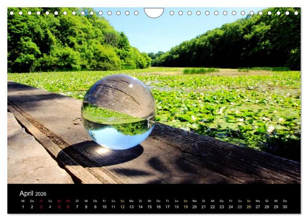 Produktbild: Wales Pembrokeshire - Natur im Fokus- (Wandkalender 2026 DIN A4 quer), CALVENDO Monatskalender