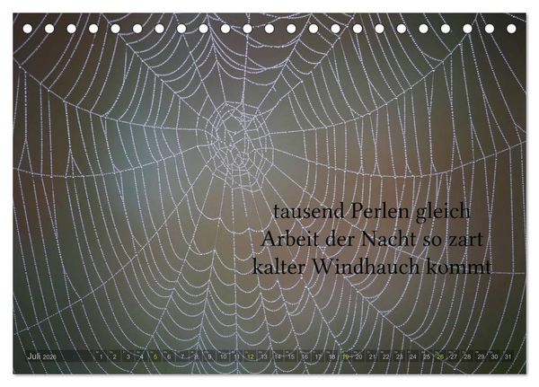 Produktbild: Haiku - Gedichte in 17 Silben (Tischkalender 2026 DIN A5 quer), CALVENDO Monatskalender