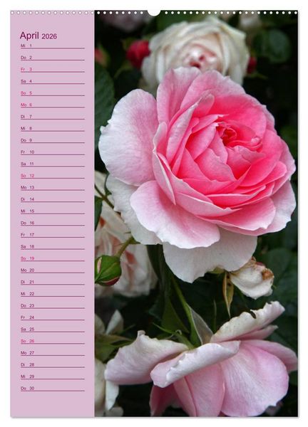 Produktbild: Rosen Symphonie (hochwertiger Premium Wandkalender 2026 DIN A2 hoch), Kunstdruck in Hochglanz