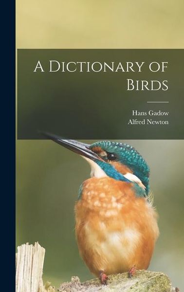 Produktbild: A Dictionary of Birds