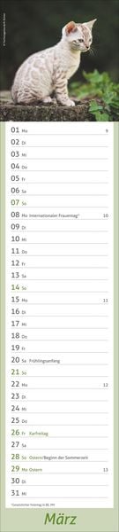Produktbild: times&more Katzen Langplaner 2027