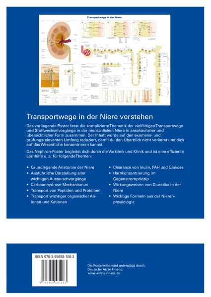 Produktbild: Nephron-Poster