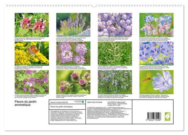 Produktbild: Fleurs du jardin aromatique (Calendrier mural haut de gamme 2027 DIN A2 vertical), CALVENDO calendrier mensuel