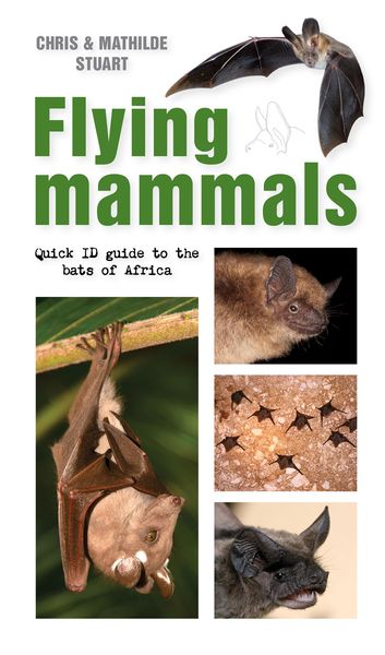 Produktbild: Flying Mammals