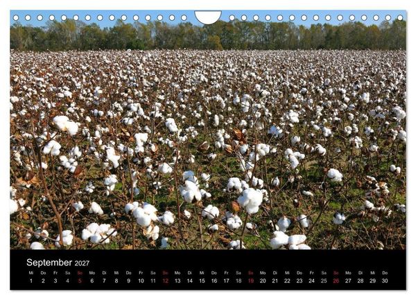 Produktbild: S&uuml;dosten der USA (Wandkalender 2027 DIN A4 quer), CALVENDO Monatskalender