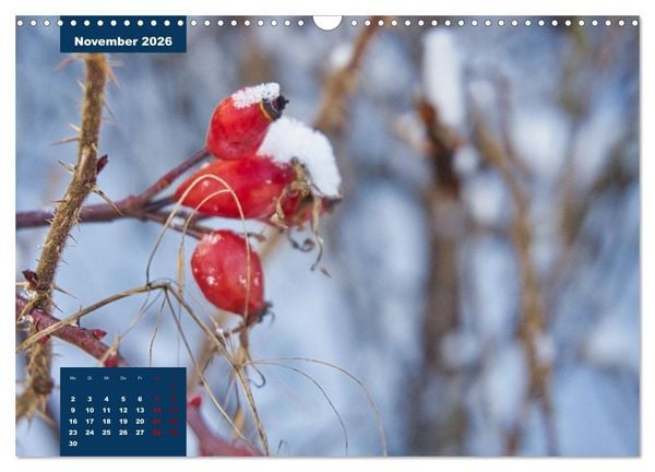 Produktbild: Winterstimmungen in Deutschland (Wandkalender 2026 DIN A3 quer), CALVENDO Monatskalender