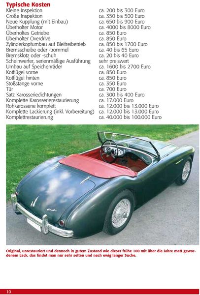 Praxisratgeber Klassikerkauf Austin Healey