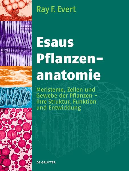 Produktbild: Esaus Pflanzenanatomie