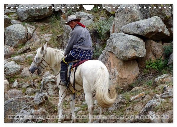 Produktbild: Pferde und Reiter der Mongolei (Wandkalender 2026 DIN A4 quer), CALVENDO Monatskalender