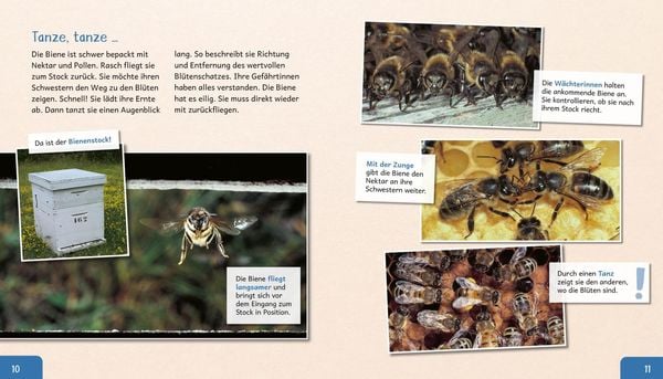 Produktbild: Meine gro&szlig;e Tierbibliothek: Die Biene