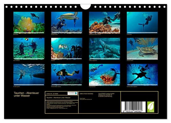 Produktbild: Tauchen - Abenteuer unter Wasser (Wandkalender 2026 DIN A4 quer), CALVENDO Monatskalender
