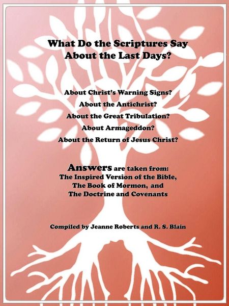 Produktbild: What Do the Scriptures Say about the Last Days?