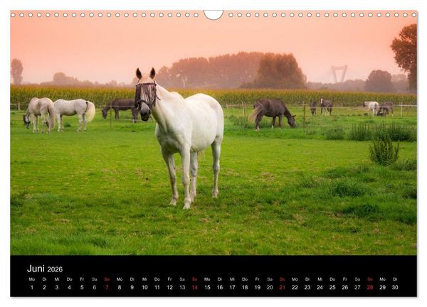 Produktbild: Meerbusch. Meerer Busch (Wandkalender 2026 DIN A3 quer), CALVENDO Monatskalender