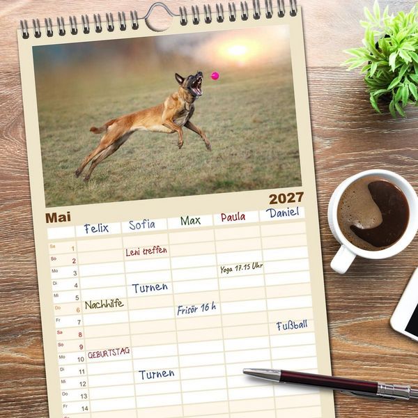 Produktbild: Familienplaner 2027 - Mit dem Malinois durch das Jahr mit 5 Spalten (Wandkalender, 21 x 45 cm) CALVENDO