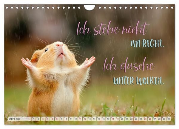 Produktbild: Ein tierisch gutes Jahr (Wandkalender 2026 DIN A4 quer), CALVENDO Monatskalender
