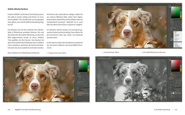 Produktbild: Hunde fotografieren - Kreative Bilder mit "Wau-Effekt"