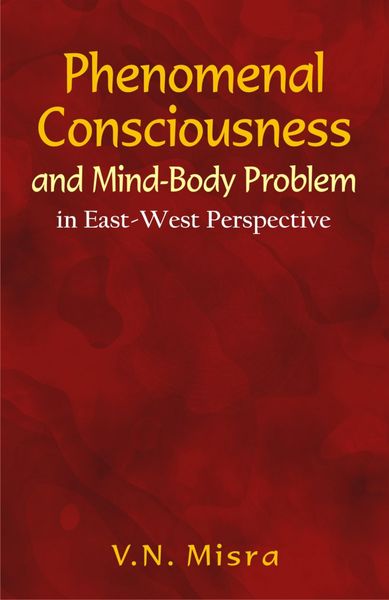 Produktbild: Phenomenal Consciousness and Mind-Body Problem