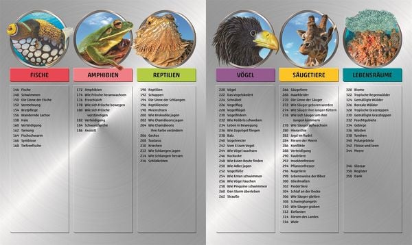 Produktbild: Mega-Wissen. Natur