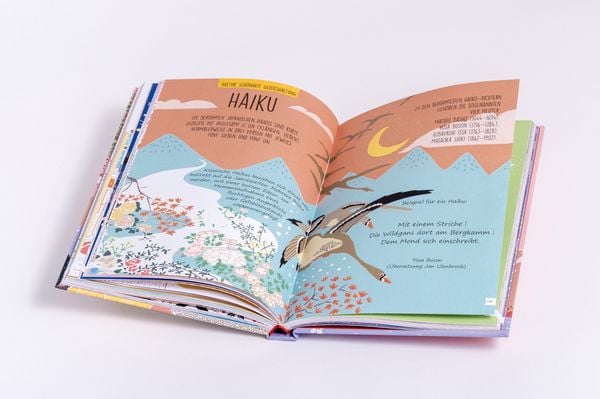 Produktbild: Japan. Der illustrierte Guide
