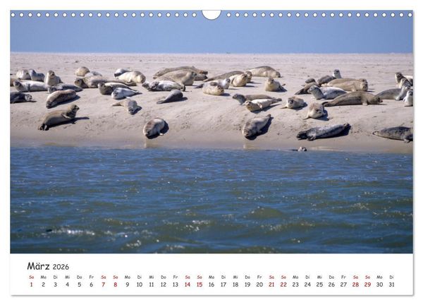 Produktbild: Nordsee, Meer, Strand und Wind (Wandkalender 2026 DIN A3 quer), CALVENDO Monatskalender