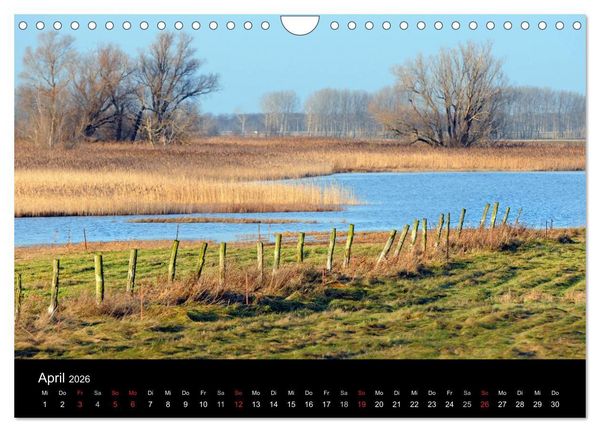 Produktbild: Vier Jahreszeiten im Havelland (Wandkalender 2026 DIN A4 quer), CALVENDO Monatskalender