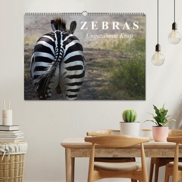 Produktbild: Zebras - Ungez&auml;hmte Kraft (Wandkalender 2026 DIN A2 quer), CALVENDO Monatskalender