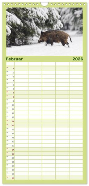 Produktbild: Familienplaner 2026 - Wildschweine &ndash; Wildlife Fotografien mit 5 Spalten (Wandkalender, 21 x 45 cm) CALVENDO