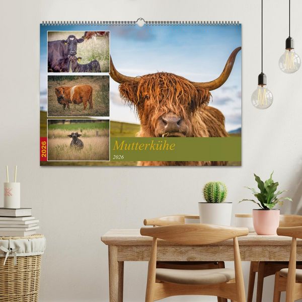 Produktbild: Mutterk&uuml;he (Wandkalender 2026 DIN A2 quer), CALVENDO Monatskalender